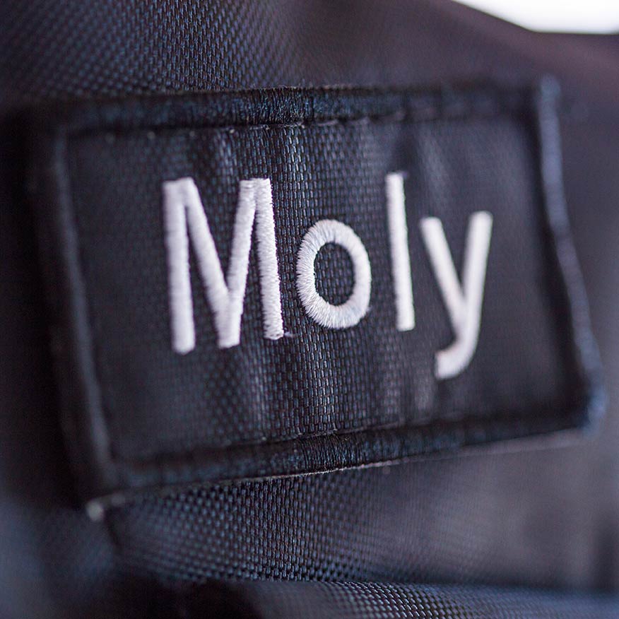 Schriftzug Moly auf dem UHC Alu-Leichtgewicht-Faltrollstuhl